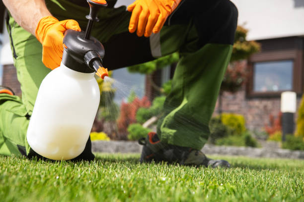 Best Cockroach Control Services  in Magee, MS