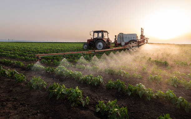 Best Pest Prevention Services  in Magee, MS