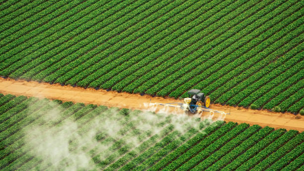Reliable Magee, MS Pest Control Solutions