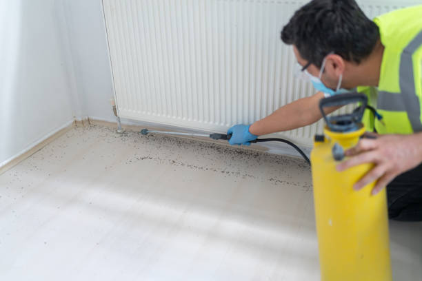 Best Best Pest Control Companies  in Magee, MS